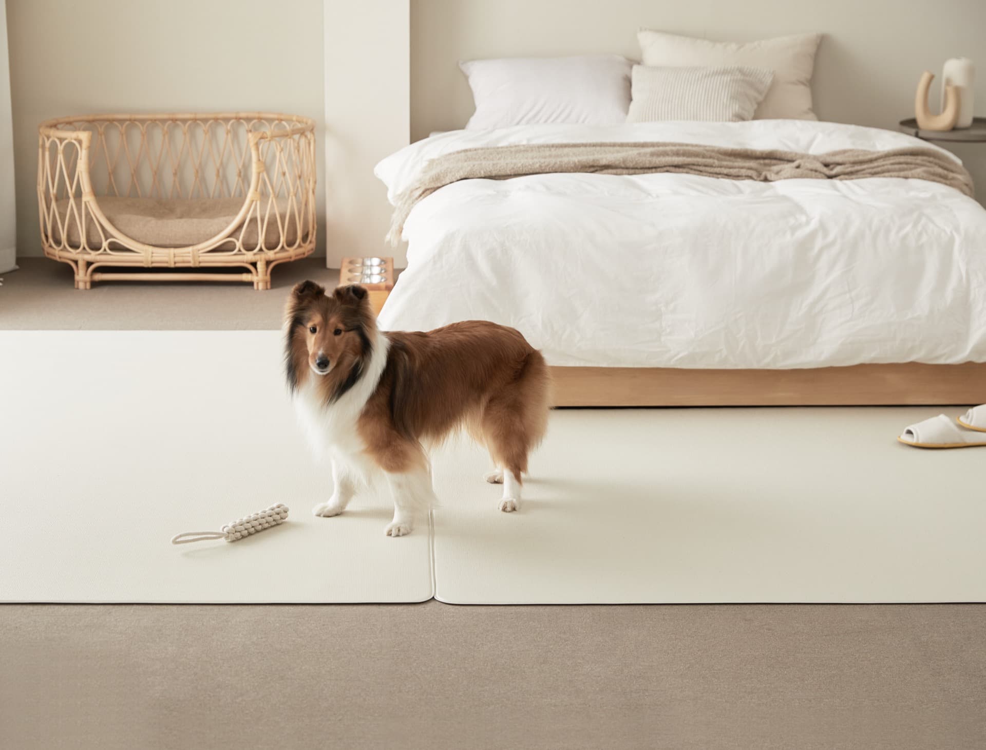 Barky Pet Mat